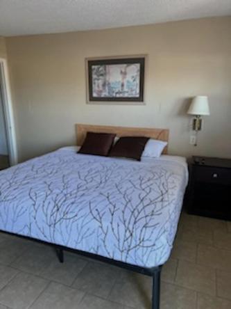 Budget Inn Decatur Priceville Buitenkant foto